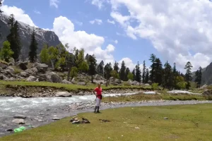 Summer Trek
